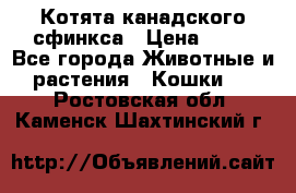 Котята канадского сфинкса › Цена ­ 15 - Все города Животные и растения » Кошки   . Ростовская обл.,Каменск-Шахтинский г.